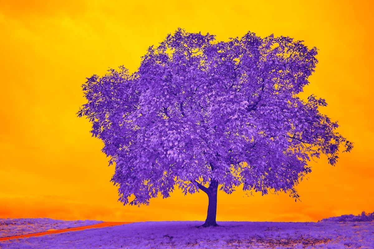Chromotherapy: The Mindful Practice of Color Healing
