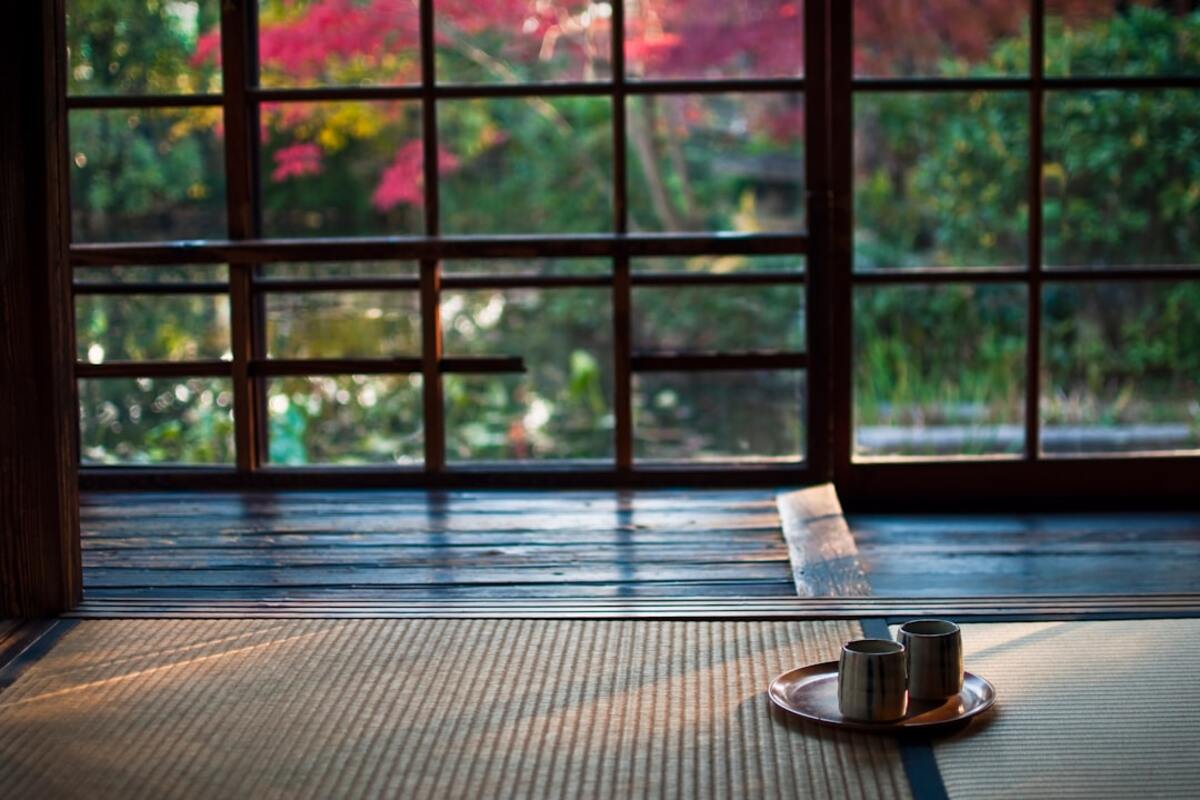 The Mindful Art of Tea Meditation: Cultivating Presence Through Steeping Rituals