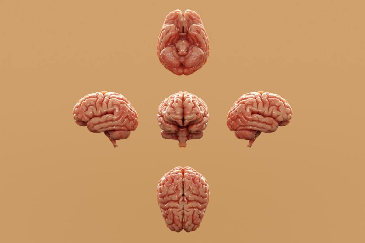 The Science of Cognitive Flexibility: Adapting Your Mindset for Success